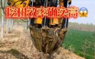 赤峰市挖树机租赁电话号码