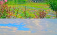 赤峰市修水罐车电话地址查询