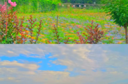 赤峰市修水罐车电话地址查询
