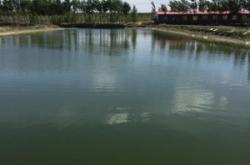 赤峰水泉玻璃厂电话号码多少