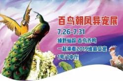赤峰新城网红店电话多少号