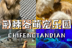 赤峰花卉养殖基地
