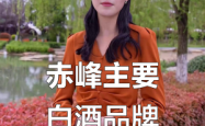 赤峰白酒批发商家电话号码