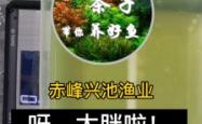 赤峰胖子游泳馆电话多少号