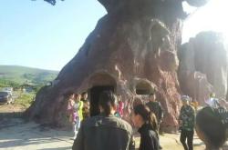 赤峰小毛驴旅游团电话号码