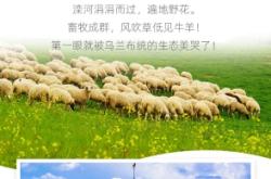 赤峰活驴交易市场电话地址查询