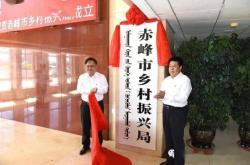 赤峰东越公司办公室电话号码