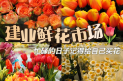 赤峰市鲜花店的电话号码