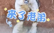 赤峰地区动物园电话号码是多少