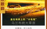 赤峰越野车协会地址电话号码