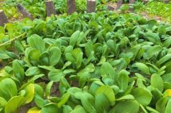 赤峰小豆豆农庄电话多少号