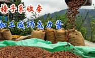 赤峰果仁加工厂家电话号码