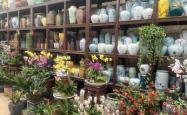 赤峰花卉市场修理厂电话号码