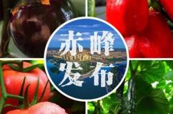 赤峰花菇基地电话多少号码