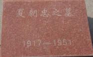 赤峰销售旧砖电话号码多少号