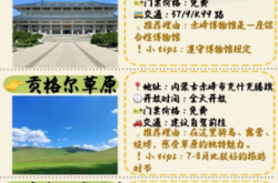赤峰金太阳接发店电话地址查询