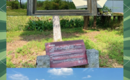 赤峰马鞍山森林公园游玩攻略