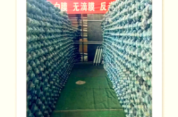 赤峰真空机贴膜店电话号码