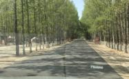 赤峰收马蜂窝电话地址查询