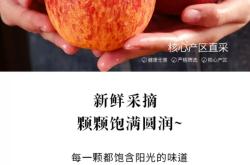 赤峰糖心苹果采摘基地电话号码