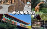 赤峰红山区甘路社区电话号码
