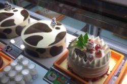 赤峰市熔岩蛋糕店电话号码