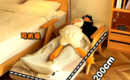 赤峰折叠沙发床厂家电话号码