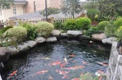 赤峰养鱼池出租电话多少号