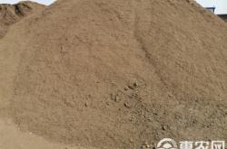 赤峰附近羊粪厂家电话多少号