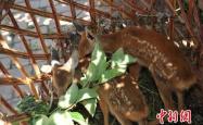 赤峰牧隆养殖厂电话地址查询