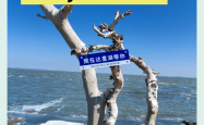 达里湖景区门票多少钱