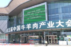 赤峰羊肉分割厂家电话多少号