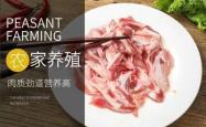 赤峰批发猪冻货电话号码查询
