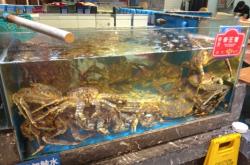 赤峰船歌鱼水饺店电话多少号