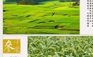赤峰母液厂家电话号码查询是多少