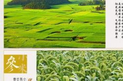 赤峰母液厂家电话号码查询是多少