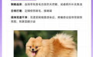 赤峰博美美容院地址电话号码