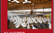 赤峰美食直播团购平台电话号码