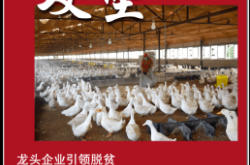 赤峰美食直播团购平台电话号码