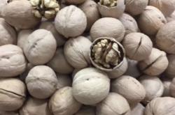 赤峰卖花盆直播间电话号码是多少