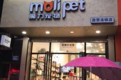 赤峰特价宠物店电话多少号