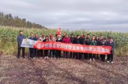 倍丰恒泰赤峰销售地址电话查询