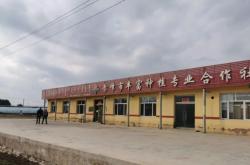 赤峰人工饲草种植基地电话号码