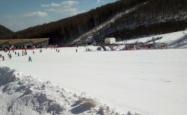 赤峰美铃谷滑雪场电话号码
