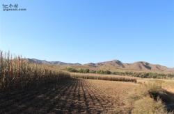 赤峰关家营砖厂地址电话号码