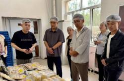 赤峰振兴砖瓦厂电话多少号