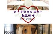 赤峰市宠物乐园团购电话号码