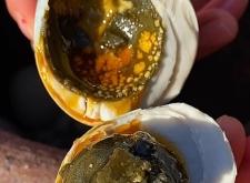 赤峰卖臭鸭蛋的电话号码是多少