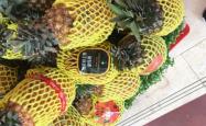 赤峰悠悠水果店电话号码查询