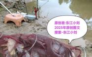 赤峰姜太公钓鱼地点电话是多少